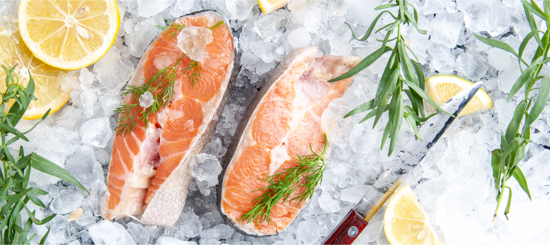 Banner Hielo Escama Nordika Ice