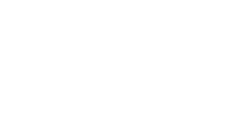 Logo Nordika Ice